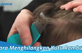 Cara Menghilangkan Kutu Rambut